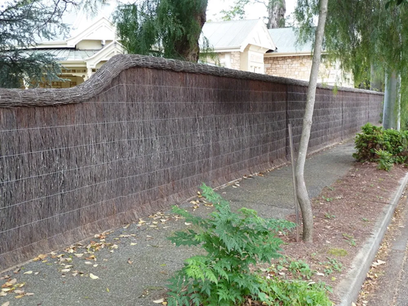 Brushwood hand-harvested